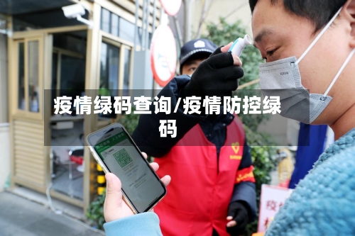 疫情绿码查询/疫情防控绿码-第3张图片