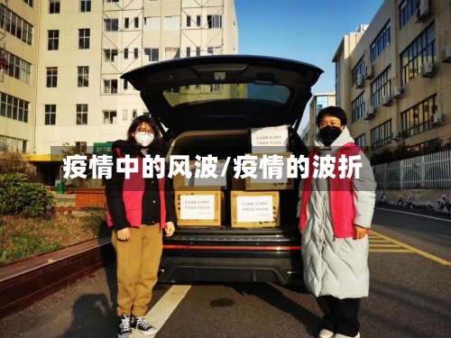 疫情中的风波/疫情的波折