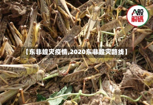 【东非蝗灾疫情,2020东非蝗灾路线】