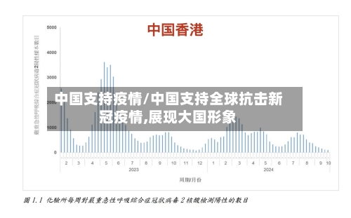 中国支持疫情/中国支持全球抗击新冠疫情,展现大国形象