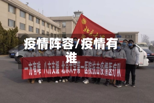 疫情阵容/疫情有谁
